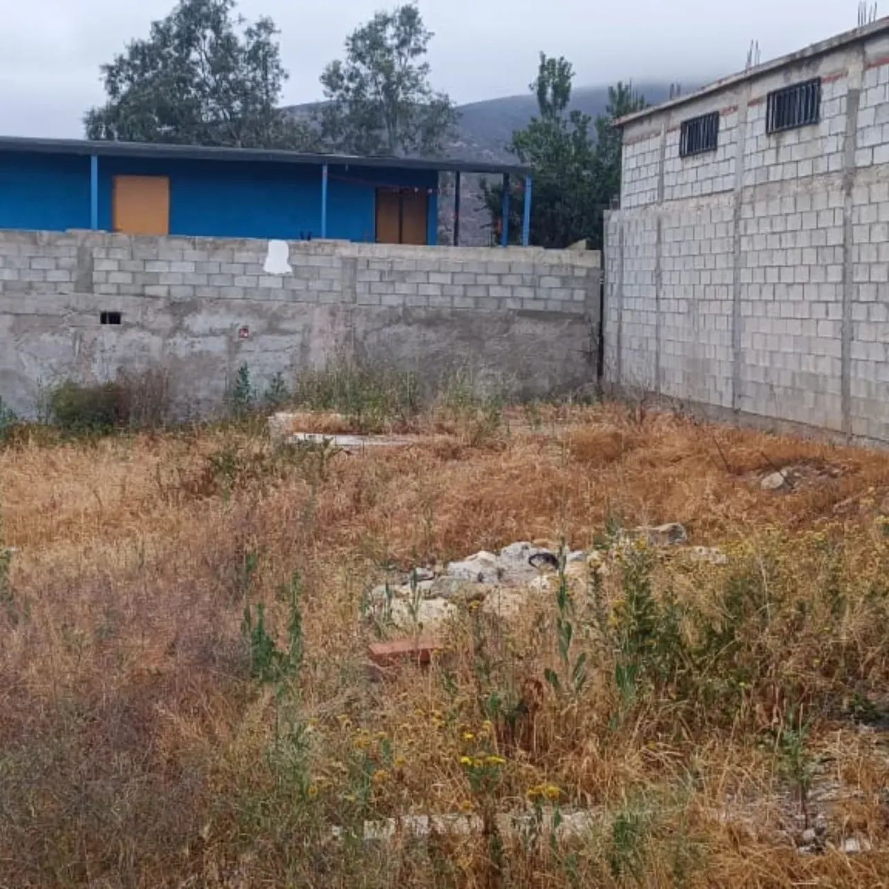Foto 6